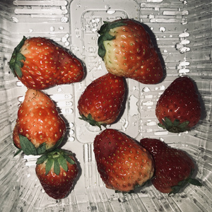 在线电影一区二区三区
