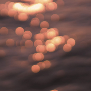 在线电影一区二区三区
