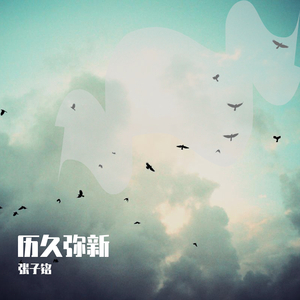 在线电影一区二区三区
